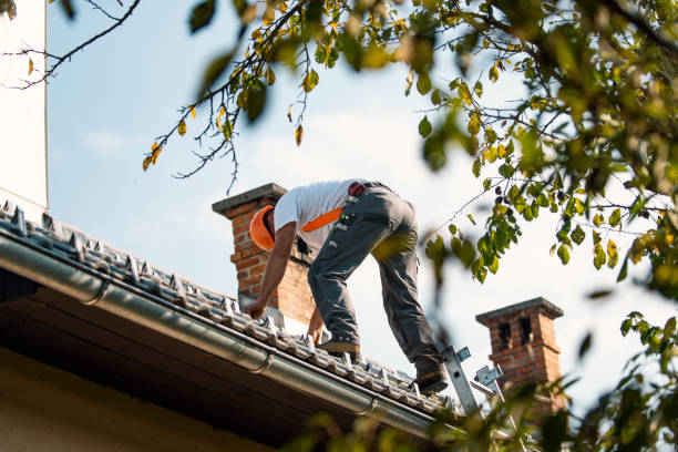 Best Metal Roofing Contractor  in Red Lake, AZ