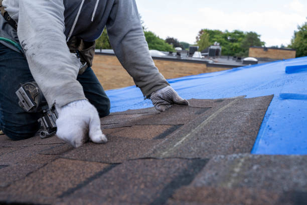 Gutter Installation and Roofing in Red Lake, AZ